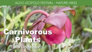 Carnivorous Plants (Thursday -Afternoon) cover picture