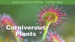 Carnivorous Plants (Friday) cover picture