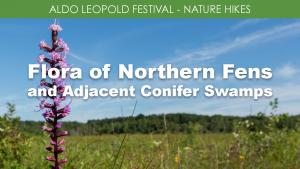 Flora of Northern Fens and Adjacent Conifer Swamps (Friday) cover picture
