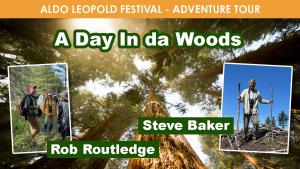 A Day In 'da Woods cover picture