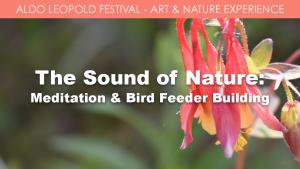 The Sound of Nature: Sound Meditation and Bird Feeder Building cover picture