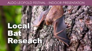 Local Bat Reseach cover picture