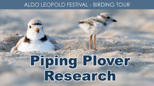 Piping Plover Research cover picture