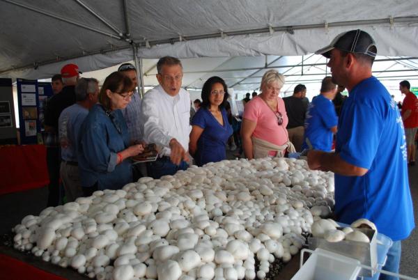 The 39th Annual Mushroom Festival