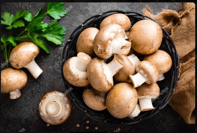 2024 ADULT Mushroom Cooking Contest 2024 ADULT Mushroom Cooking Contest