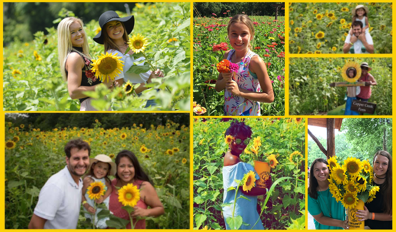 Copper Creek Farm Sunflower Festival