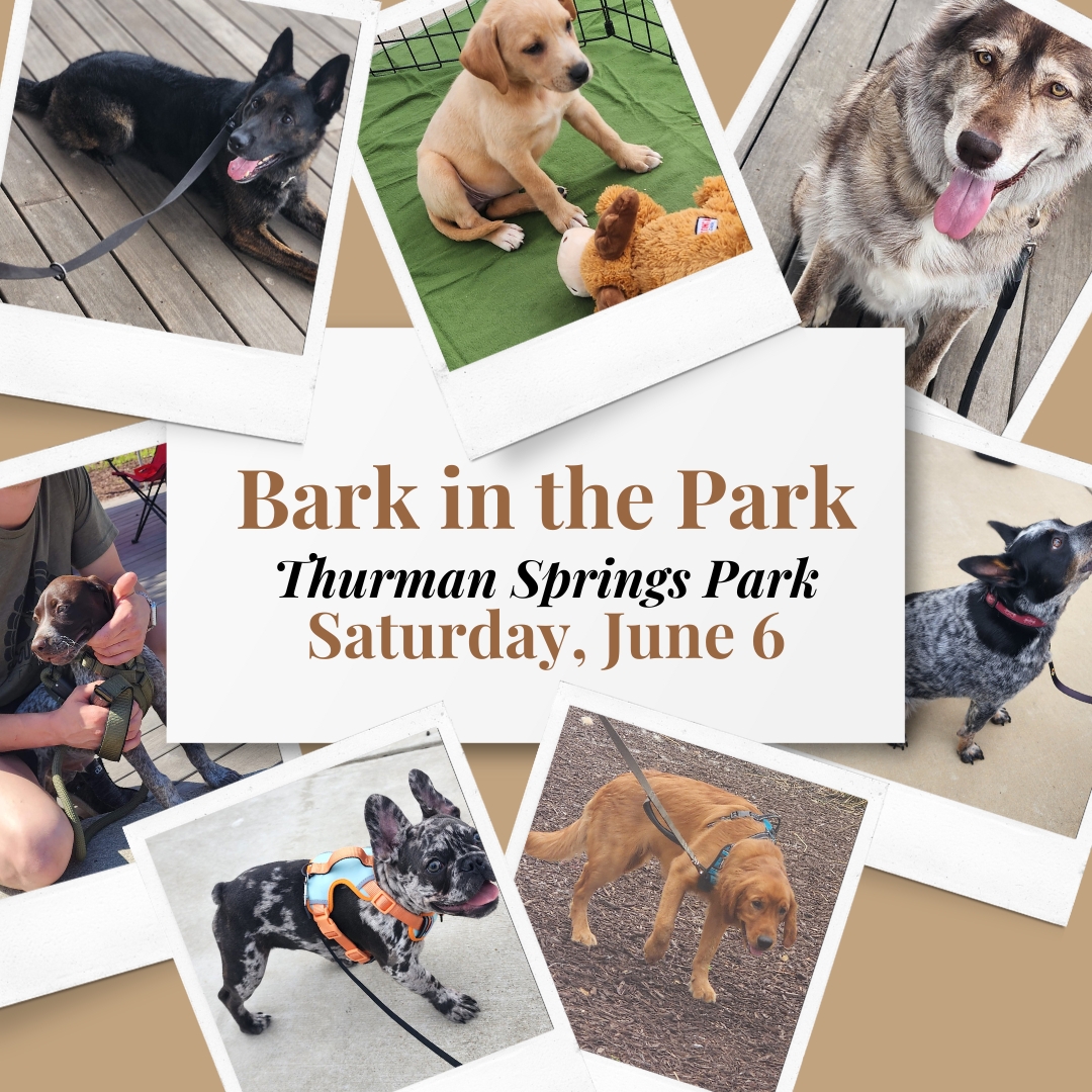 2026 Bark in the Park