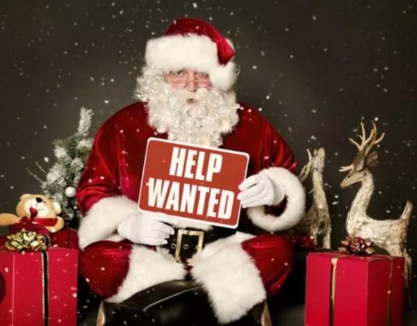 Volunteer Application