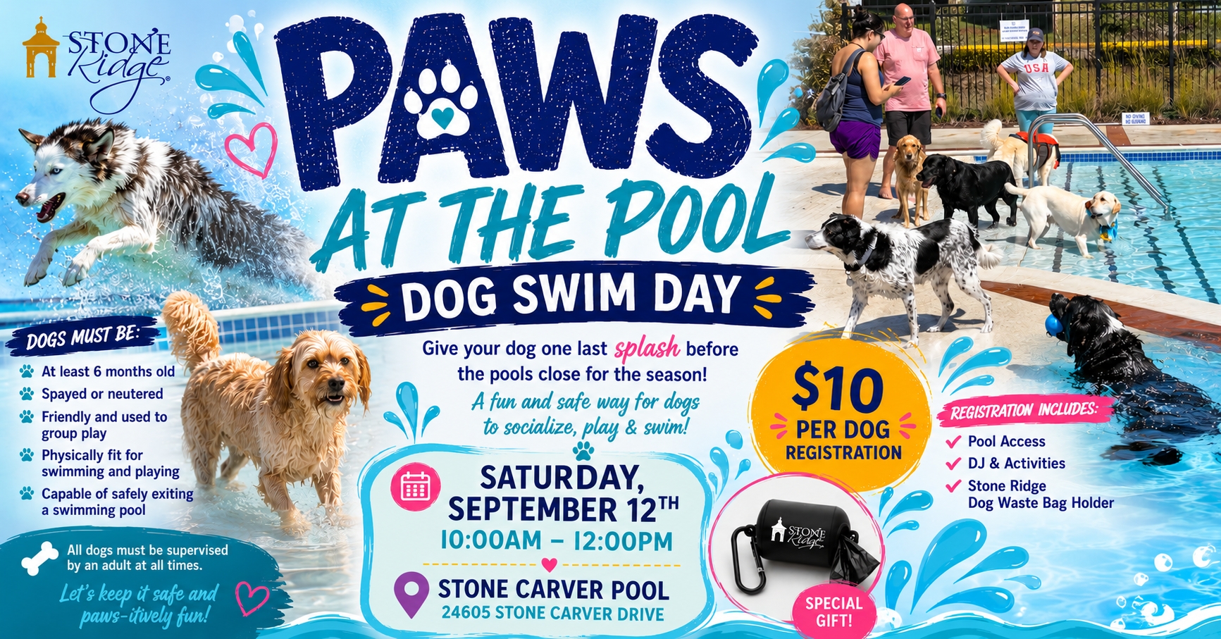 Stone Ridge -  Paws at the Pool