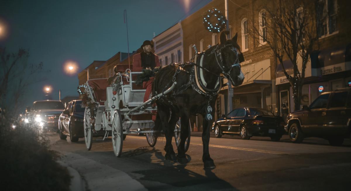 New Year's Horse-Drawn Carriage Rides- Rescheduled cover image