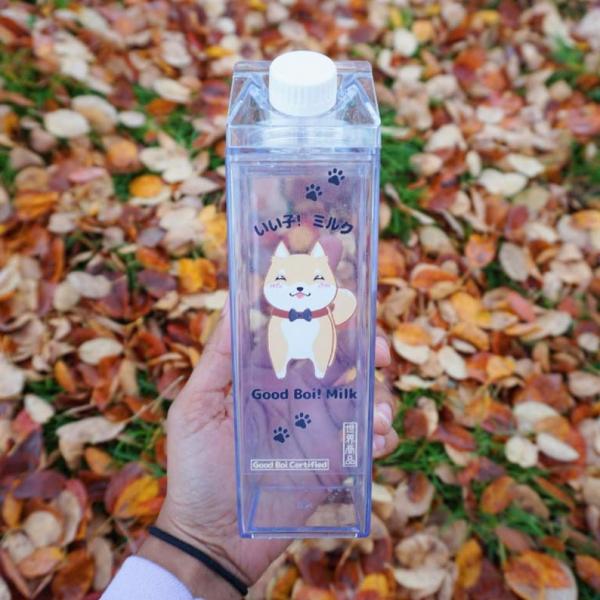 Good Boi Milk Carton