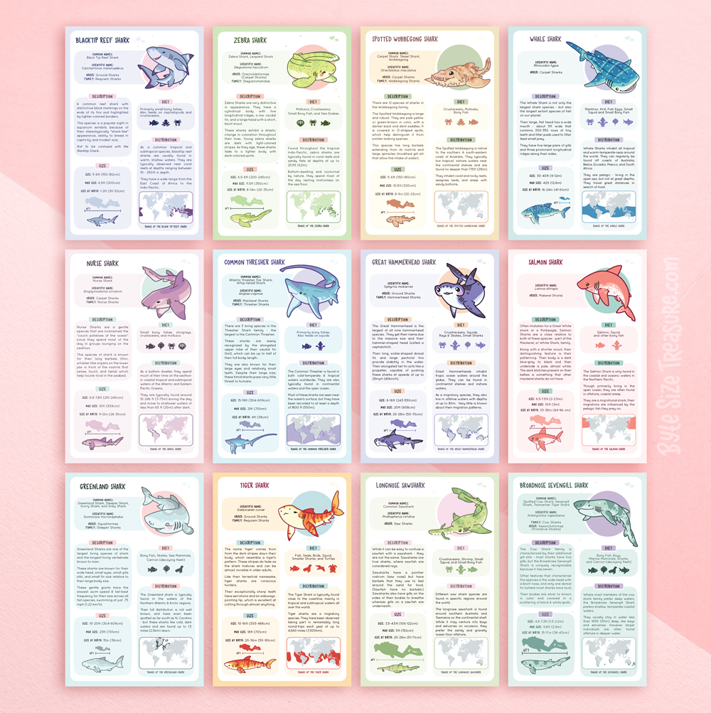 Shark Species Info Cards picture
