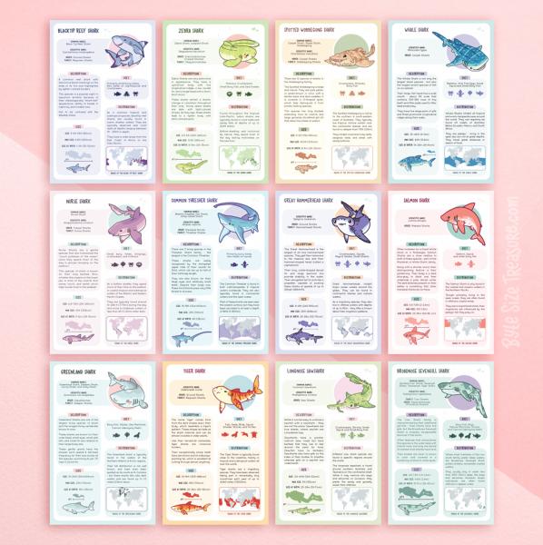 Shark Species Info Cards picture