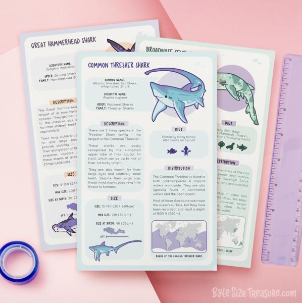 Shark Species Info Cards picture