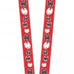 How to Train Your Dragon Lanyard