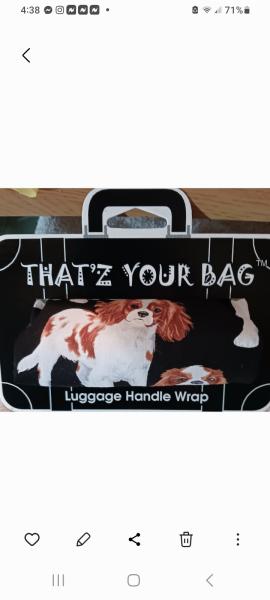Janice Heisler Designs/That'z Your Bag
