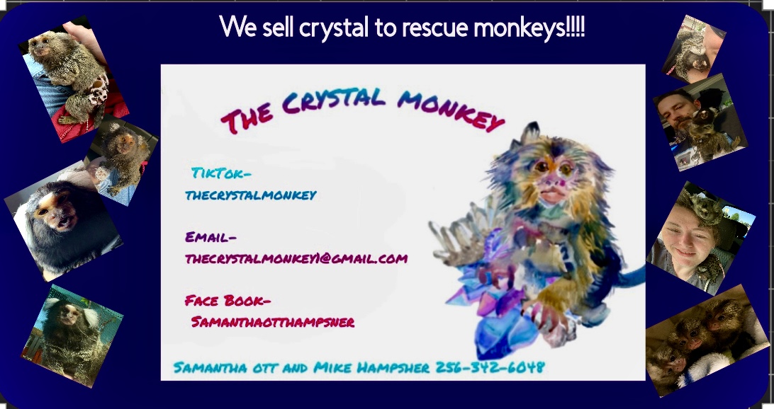 The crystal monkey