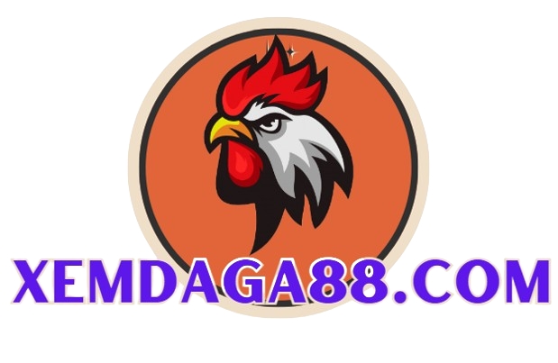 xemdaga88 User Profile