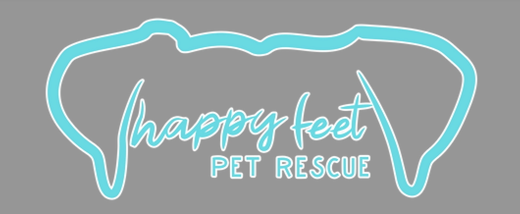 Happy Feet Pet Rescue