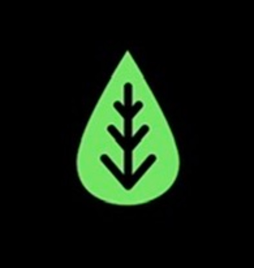 Botanical+House/Urban Soule