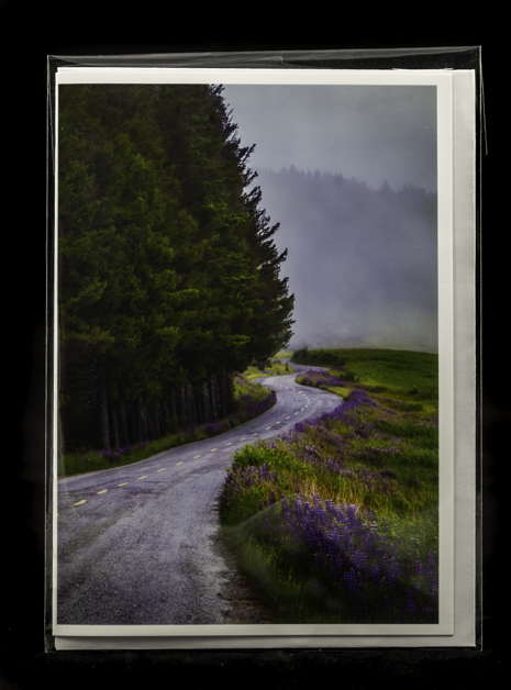 Greeting Card- Lupine Road picture