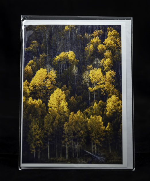 Greeting Card- Autumn Aspens picture