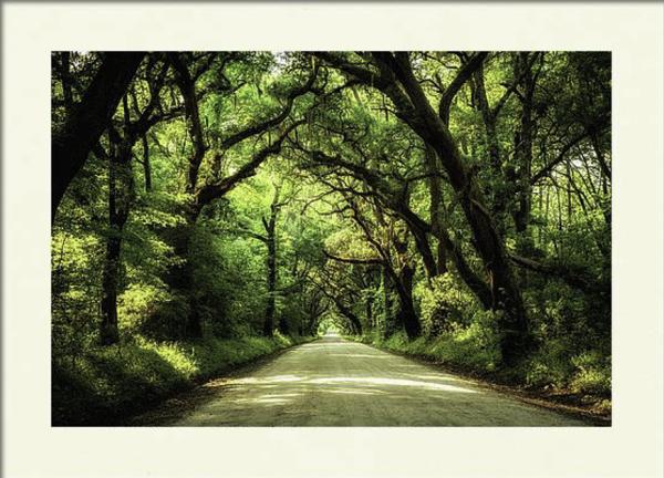 Matted Print- Botany Bay Road picture