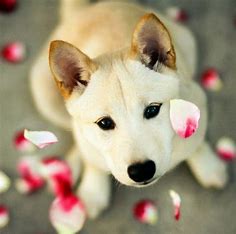 test file upload