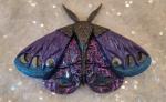 Epoxy resin moth wall art