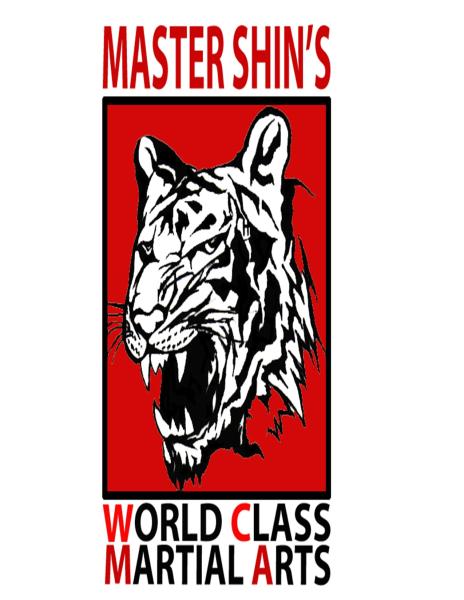 Master Shin's World Class Martial Arts