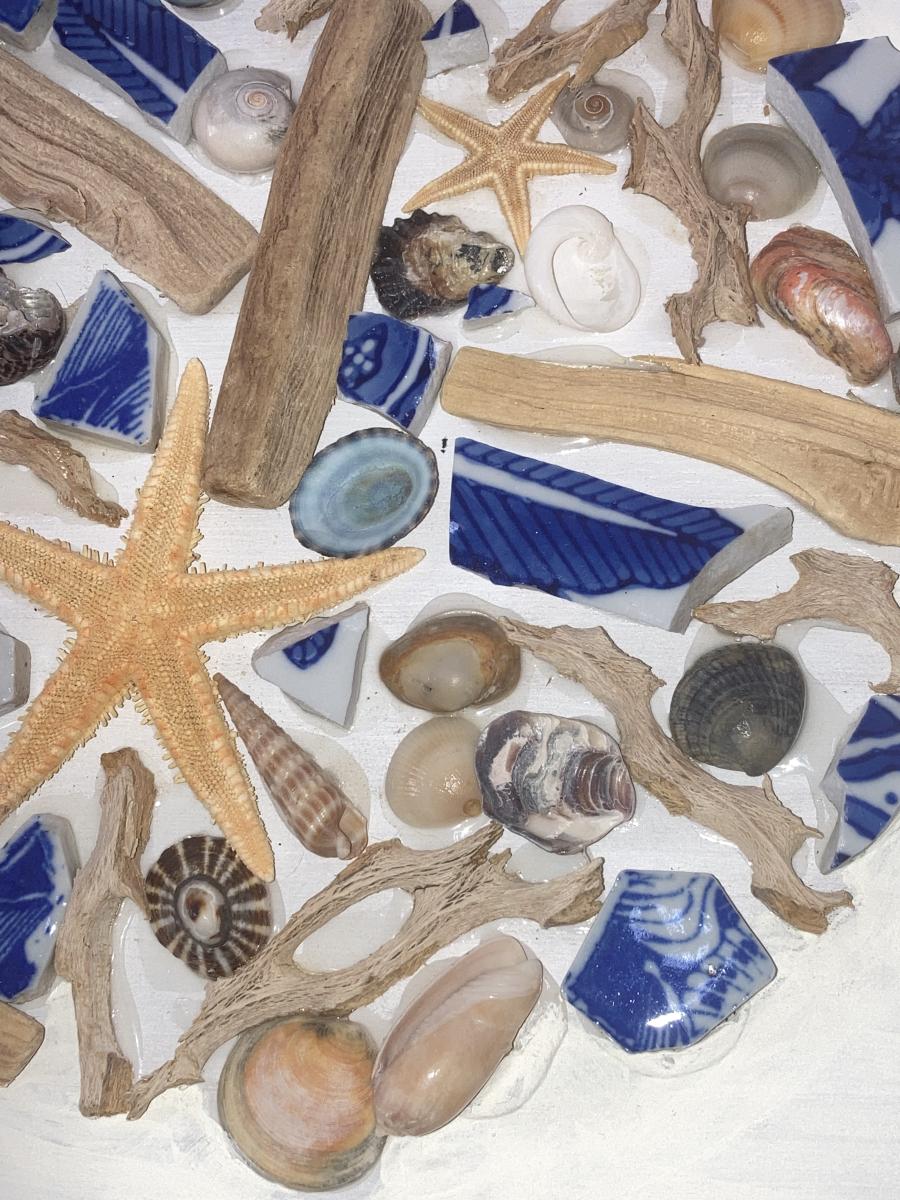 Seashell Mandala picture