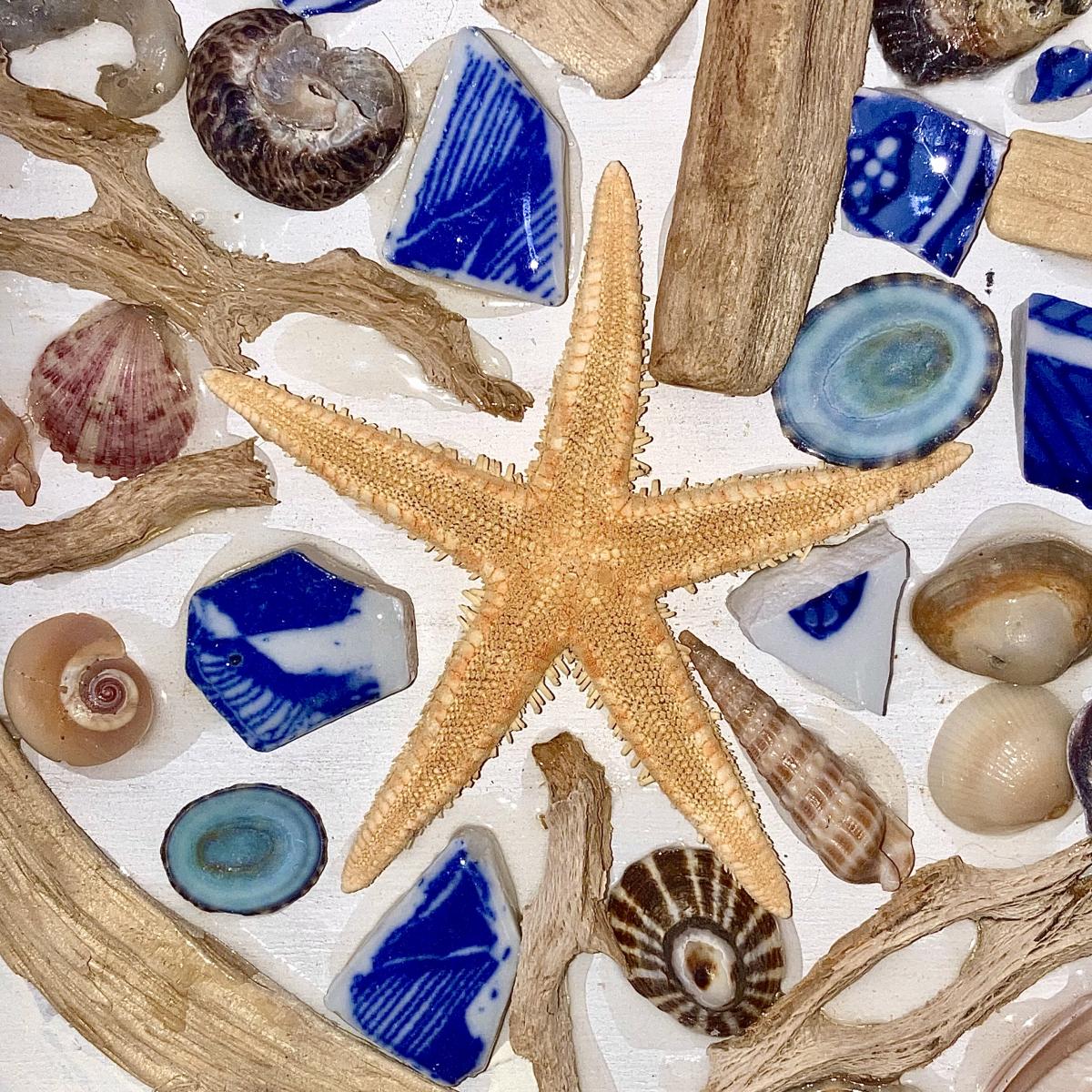 Seashell Mandala picture