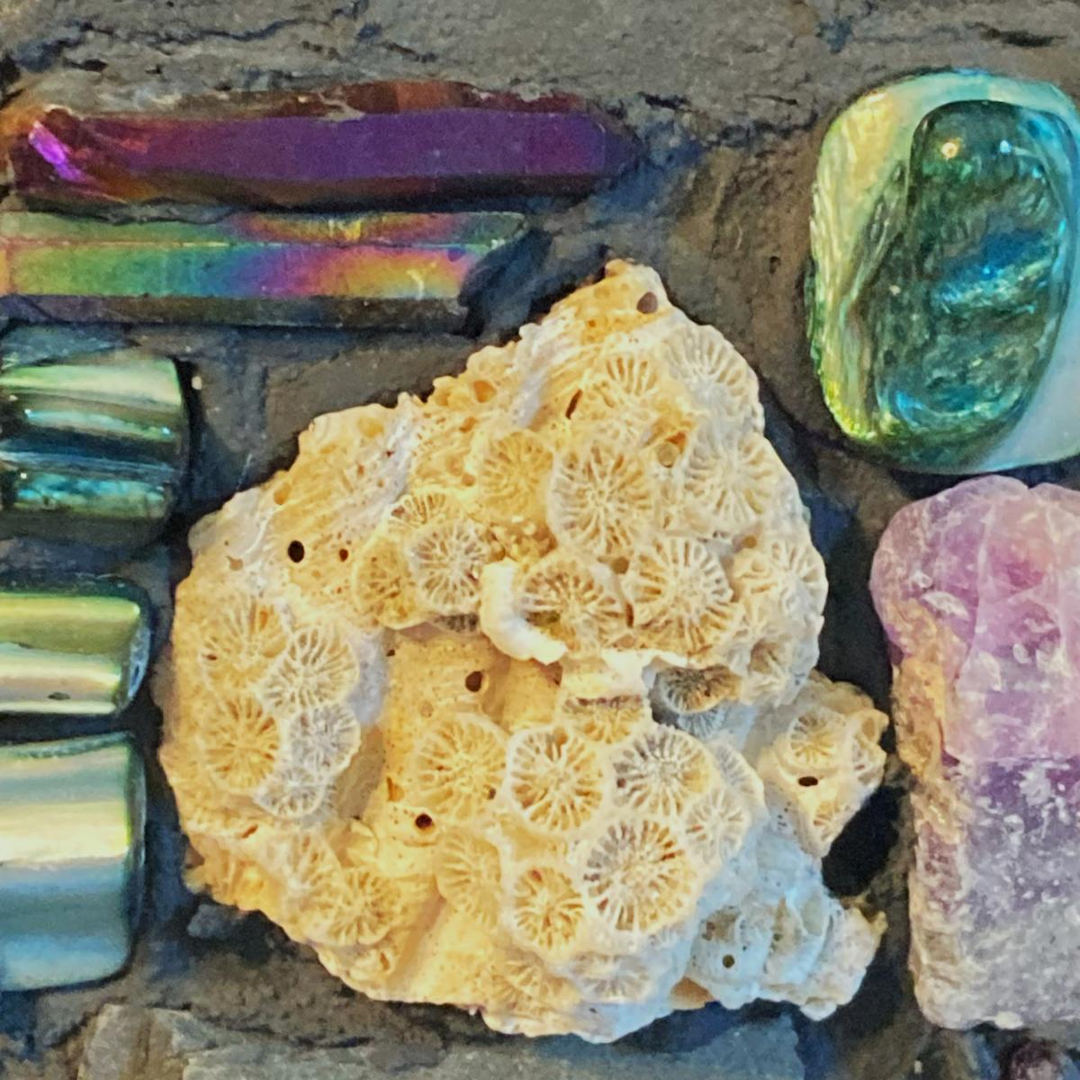 Fluorite and Coral Coastal Mosaic Wall Panel picture