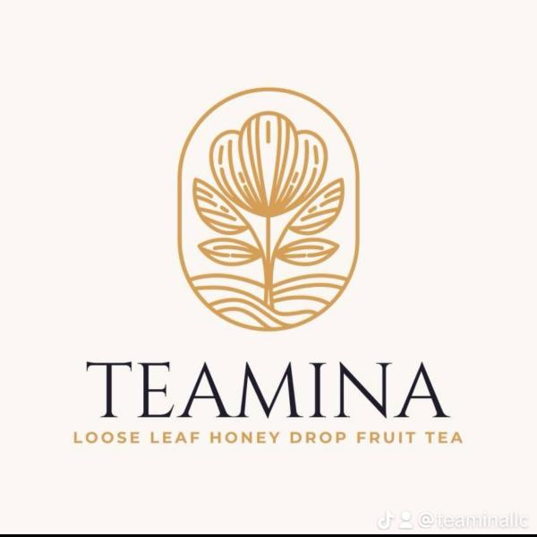 TEAMINA LLC
