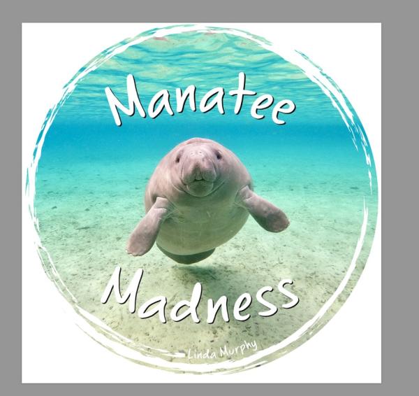 Manatee Madness