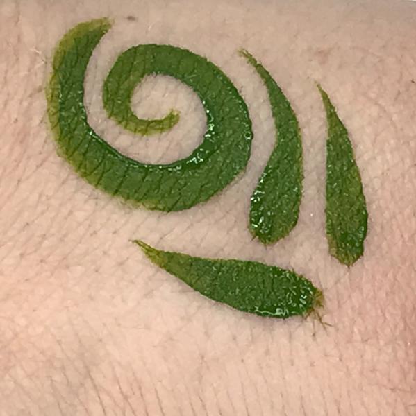 Green Mark Body Paint picture