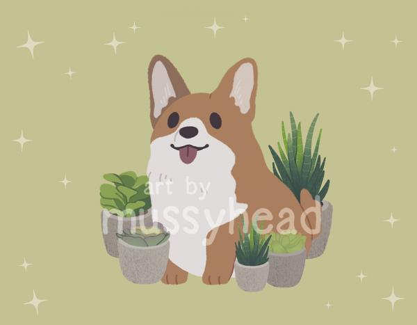 Corgi with Succulents 8.5 x 11 Print picture