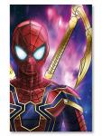 Iron Spider