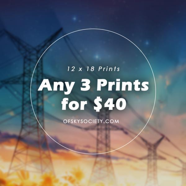 Pick any 3 Prints, 12x18 Inch