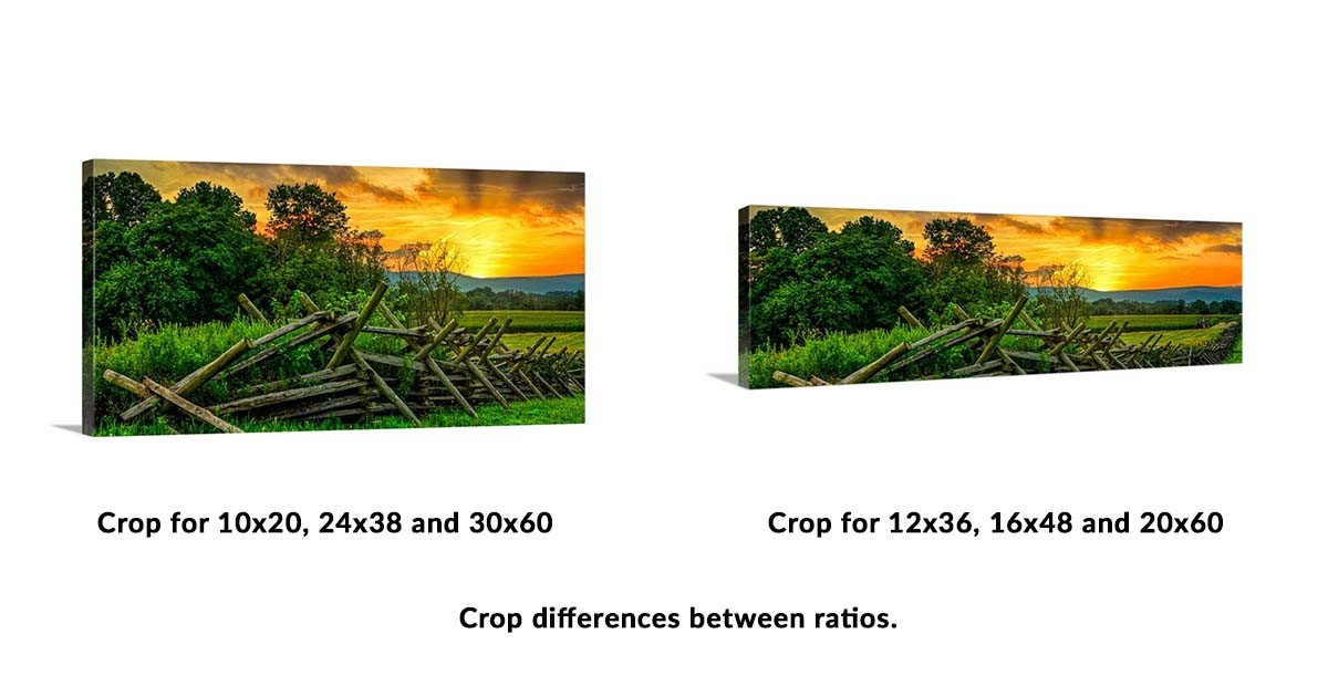 Green Sunset picture