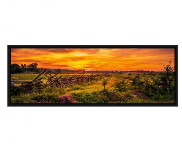 Fenceline LIght picture