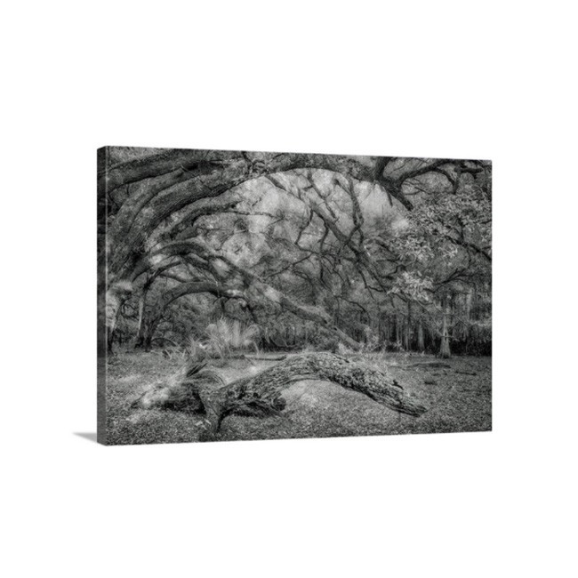 Wooden Nellie picture