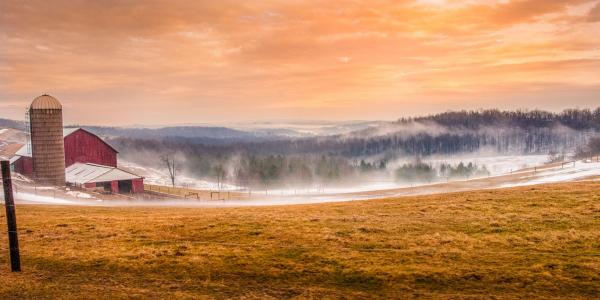 Sunrise on the Farm picture