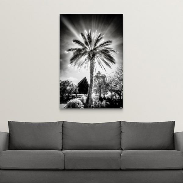 Lighted Palm picture