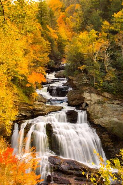 Cullasaja Falls picture