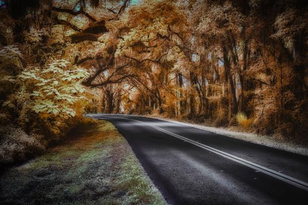 Infrared Curve