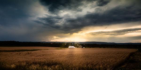 Farmland Sunset