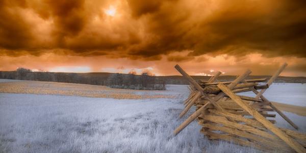 Stormy Fence picture