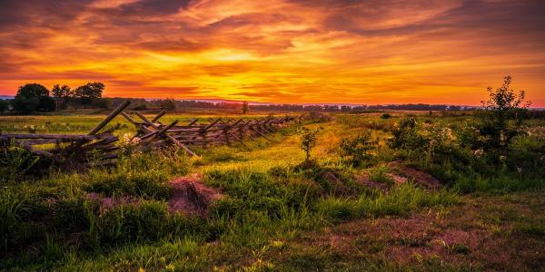 Fenceline LIght picture