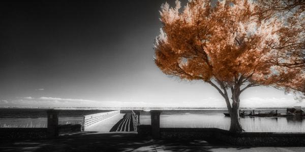 Surreal Boardwalk picture